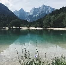 Abogados especialistas en Derecho Medioambiental y Delitos Ecológicos